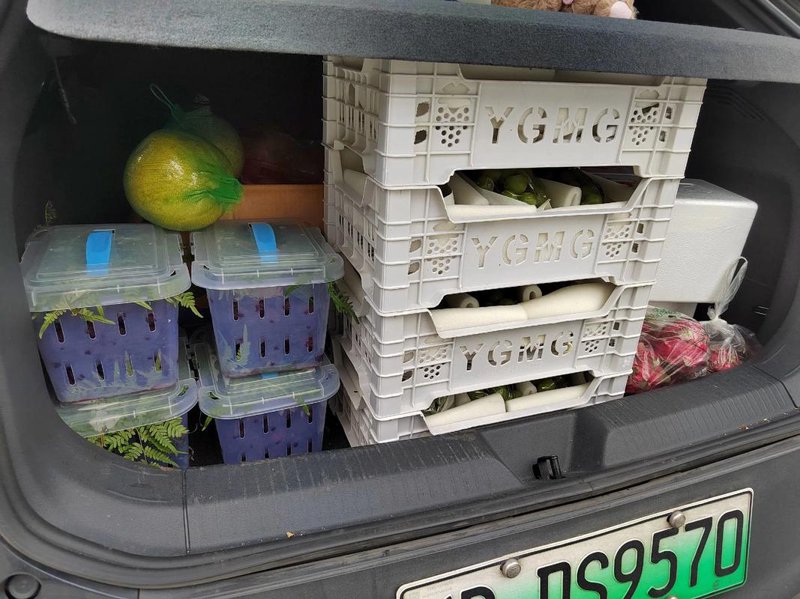 寻找身边的美味：岳阳街道水果店选购指南